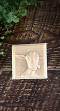 Load image into Gallery viewer, Goats! Goats Milk Soap Irish Latte